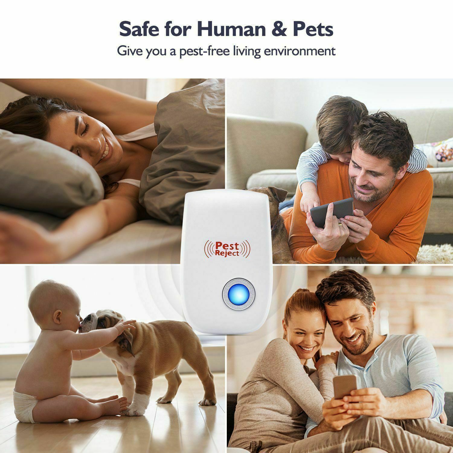 ApexGuard Ultraschall-Eichhörnchenabwehr für Gärten und Höfe in 48 Stunden