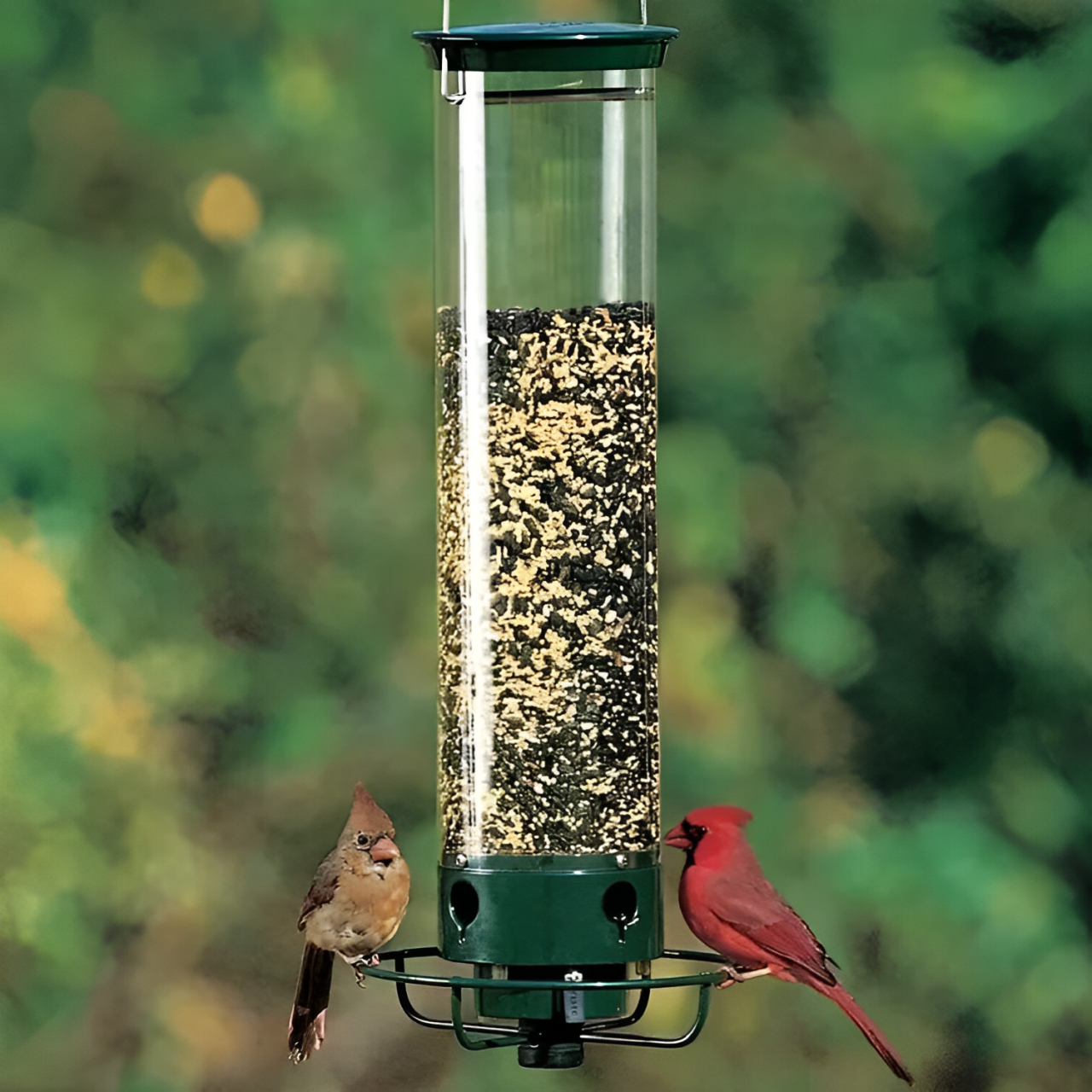 Weight Activated Squirrel Proof Bird Feeder With Anti Squirrel Guard