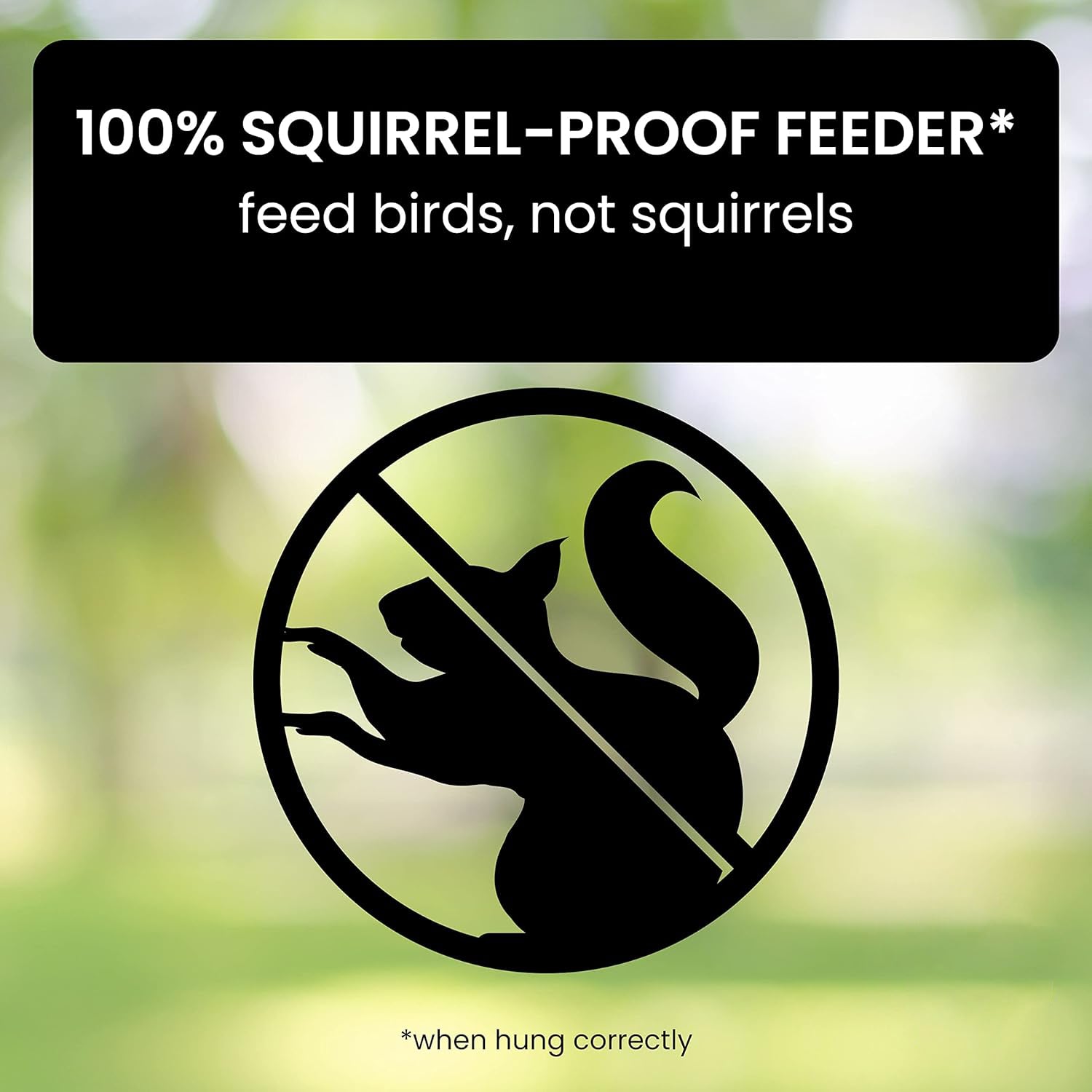 Weight Activated Squirrel Proof Bird Feeder With Anti Squirrel Guard