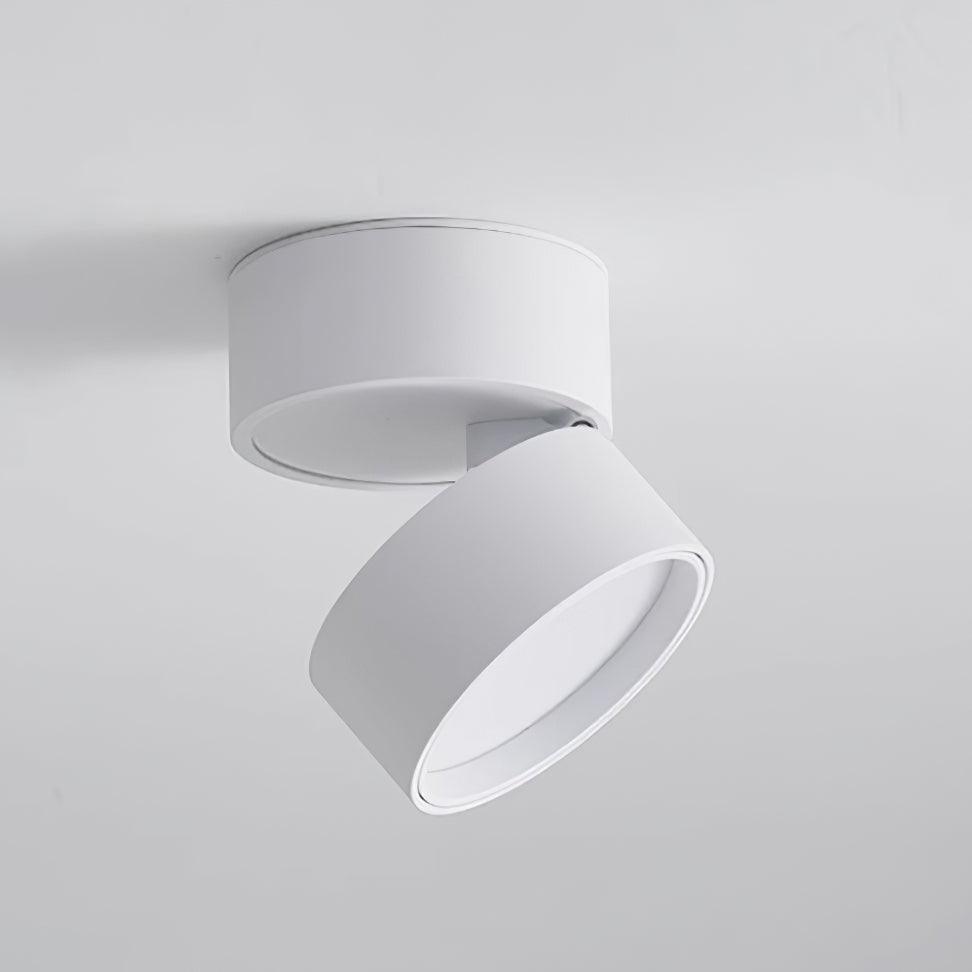 LumaFlex Adjustable LED Ceiling Light For Indoor Art Displays