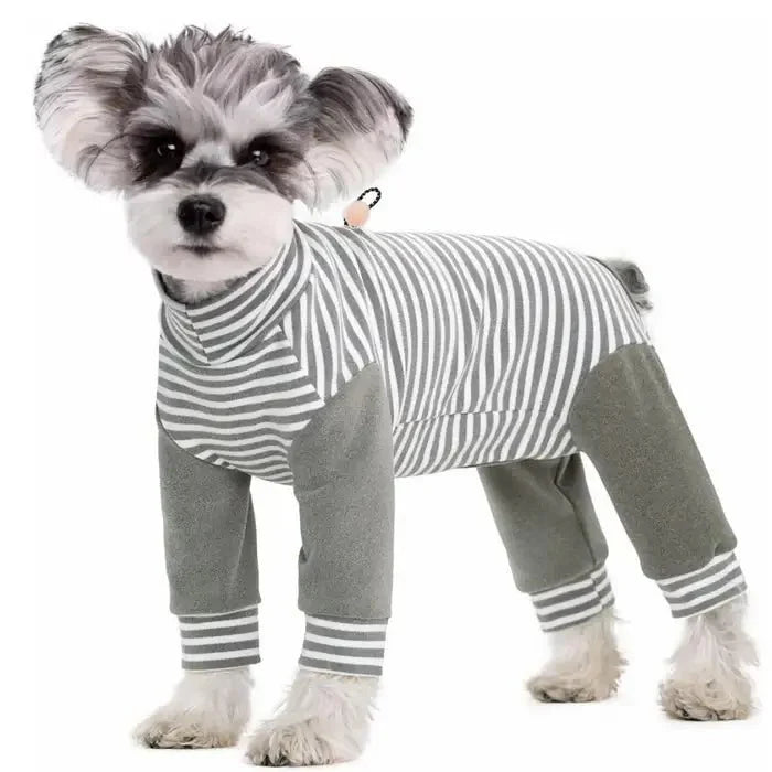 Schutzanzug für Hunde zur Verhinderung des Belecken nach Operationen