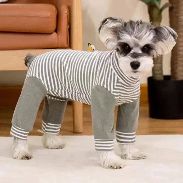 Schutzanzug für Hunde zur Verhinderung des Belecken nach Operationen