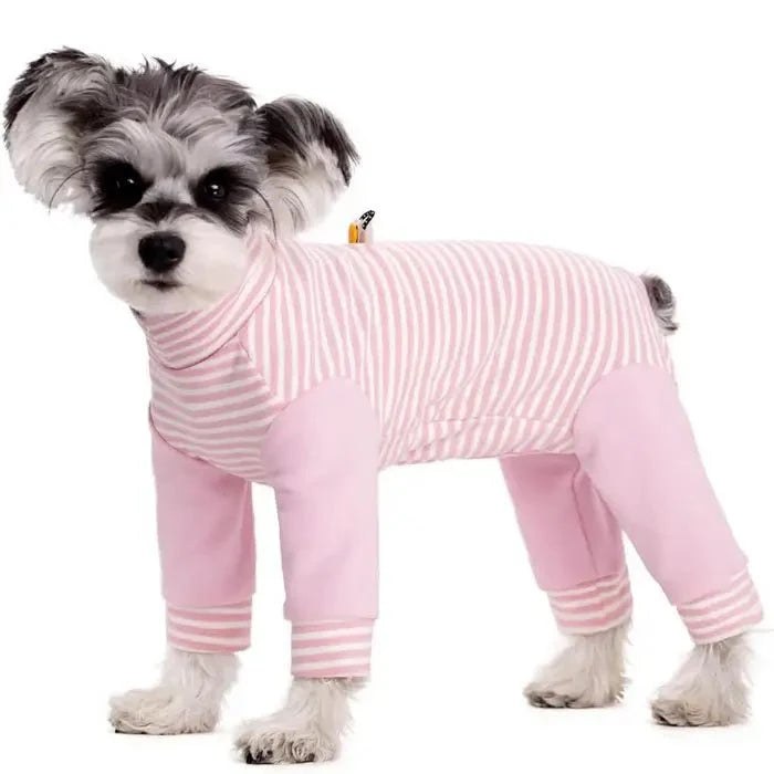 Schutzanzug für Hunde zur Verhinderung des Belecken nach Operationen