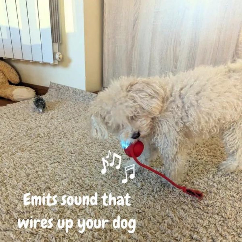 Jouet à bille roulante SwiftOrbit pour chien pour jeu interactif et soulagement de l'anxiété