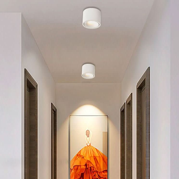 NovaDisk Modern Minimalist LED Ceiling Light For Focused Illumination