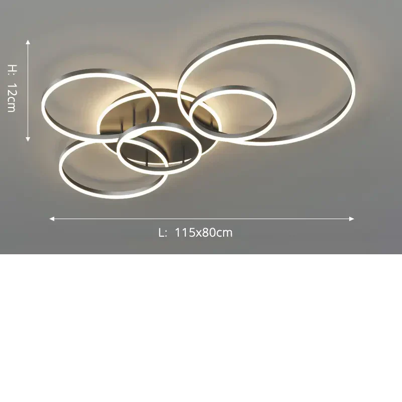 Arion Black Metal Ceiling Light With Open Geometric Design
