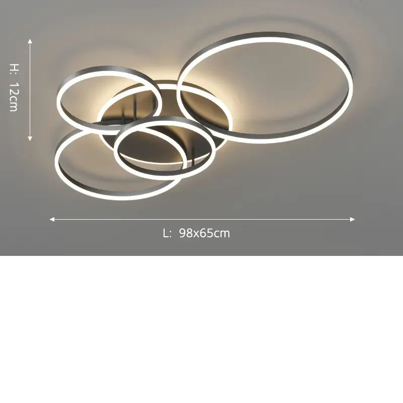 Arion Black Metal Ceiling Light With Open Geometric Design
