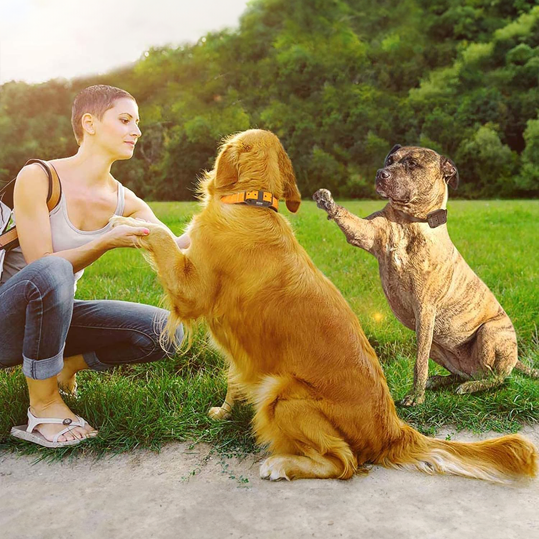 Ravenco 2900ft vízálló távirányítós kutyakiképző nyakörv