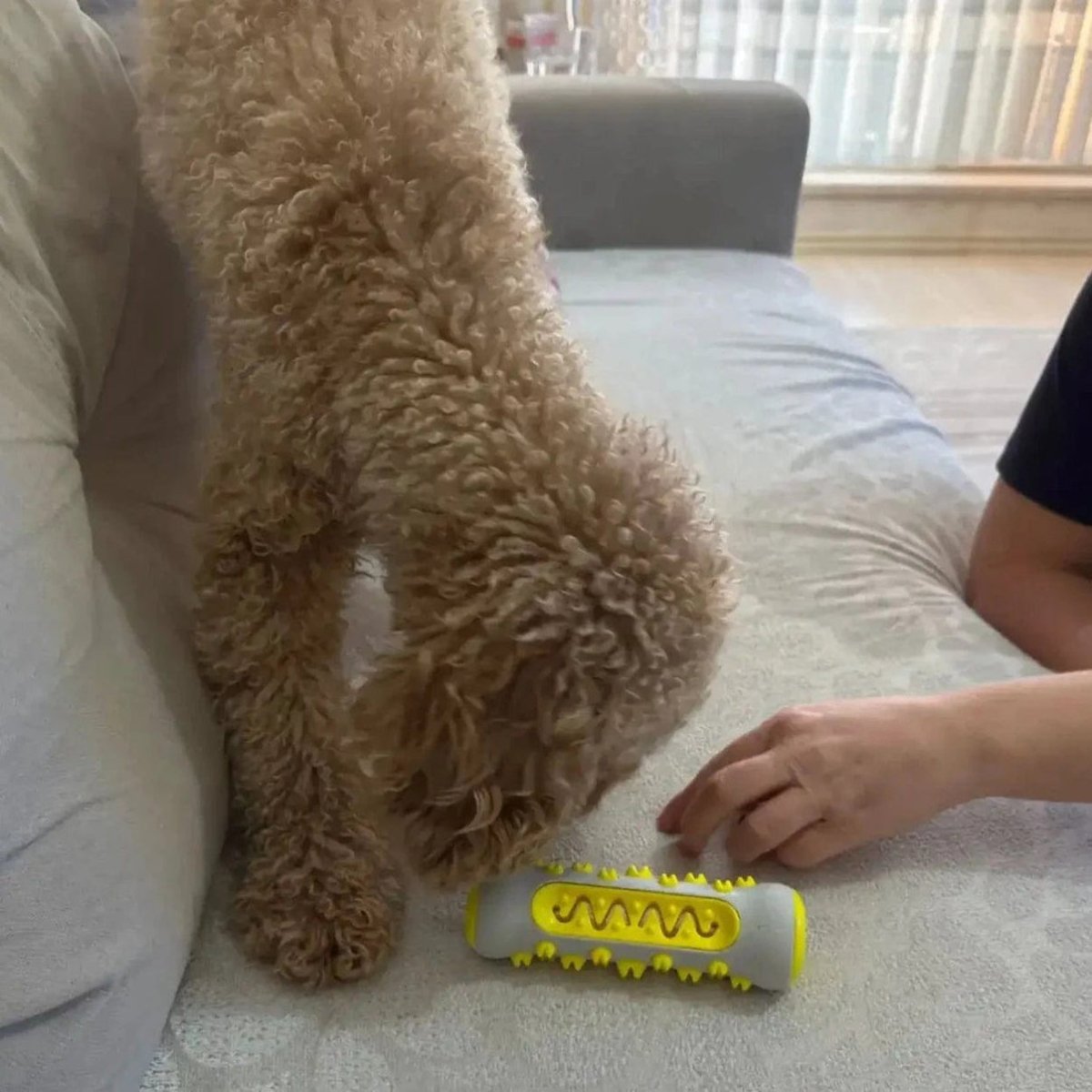 لعبة كلب مهدئة من زينباو بخلاصة اللافندر والبابونج لتقليل القلق مصنوعة من بوليمر غير سام