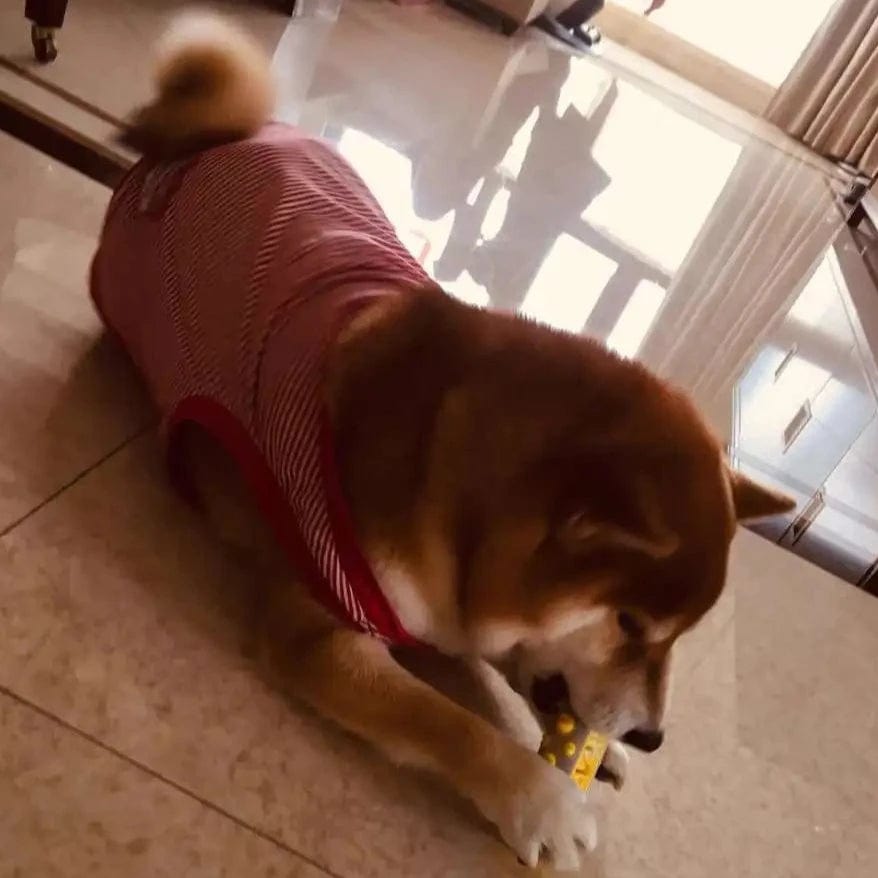 لعبة كلب مهدئة من زينباو بخلاصة اللافندر والبابونج لتقليل القلق مصنوعة من بوليمر غير سام