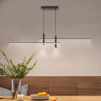 AstraLume Pendant Light With Global 90-260V Two-Color LED