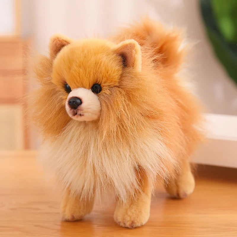 Plush Pomeranian Dog Toy | Realistic 12-Inch Stuffed Animal | Svulp