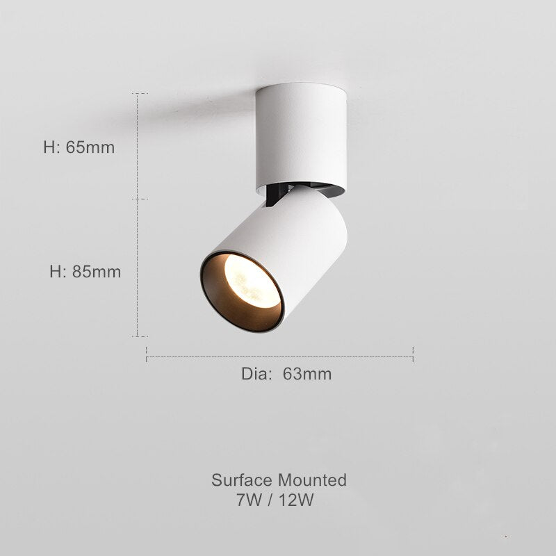 Versatile Round Surface-Mount Downlight for Any Space