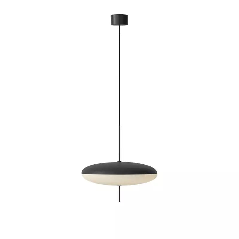 Elara Metal and Acrylic Pendant Light with Eco LED Technology