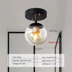 NovaGlobe Clear Glass Globe Ceiling Light Mount Minimalist Metal Holder