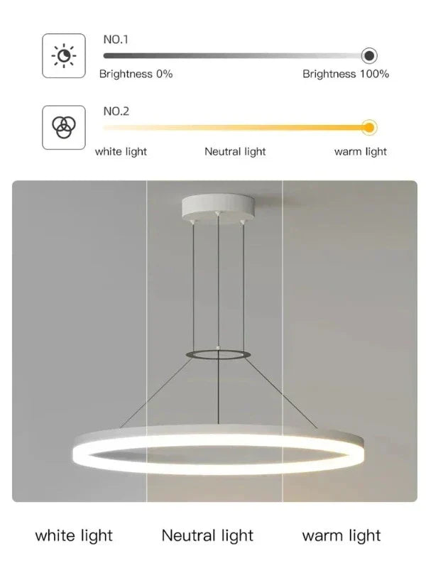 Aurion Slim Suspension Pendant Light Modern Ceiling Lamp for Living Areas