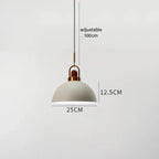 Astra Loft Urban Pendant Light by Creston Lighting