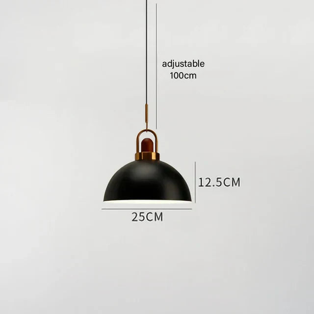 Astra Loft Urban Pendant Light by Creston Lighting