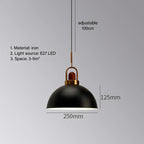 Astra Loft Urban Pendant Light by Creston Lighting