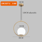 Asteri Glass Orb Pendant Lights | Table Decor Accent