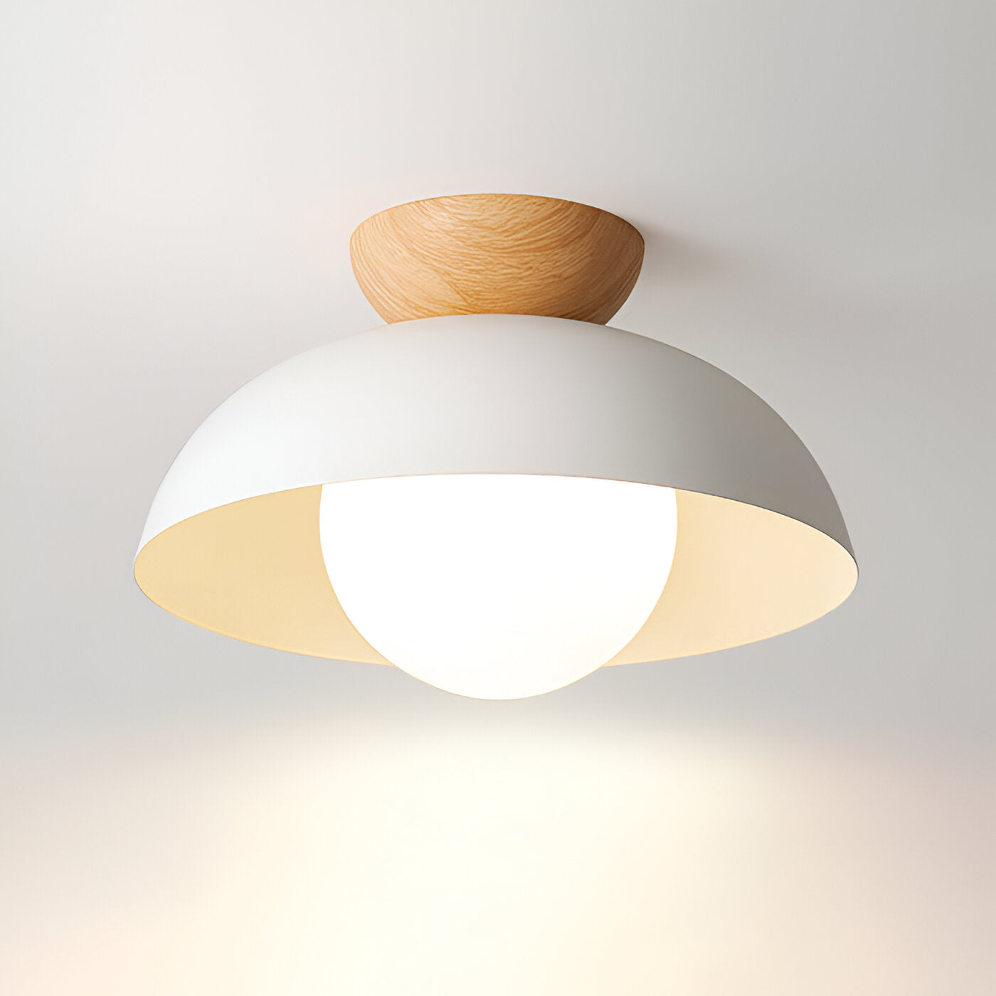 Lysa Nordic Minimalist LED Ceiling Lamp With Matte Glass