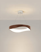 AstraHalo Ring LED Pendant Light For Modern Interiors
