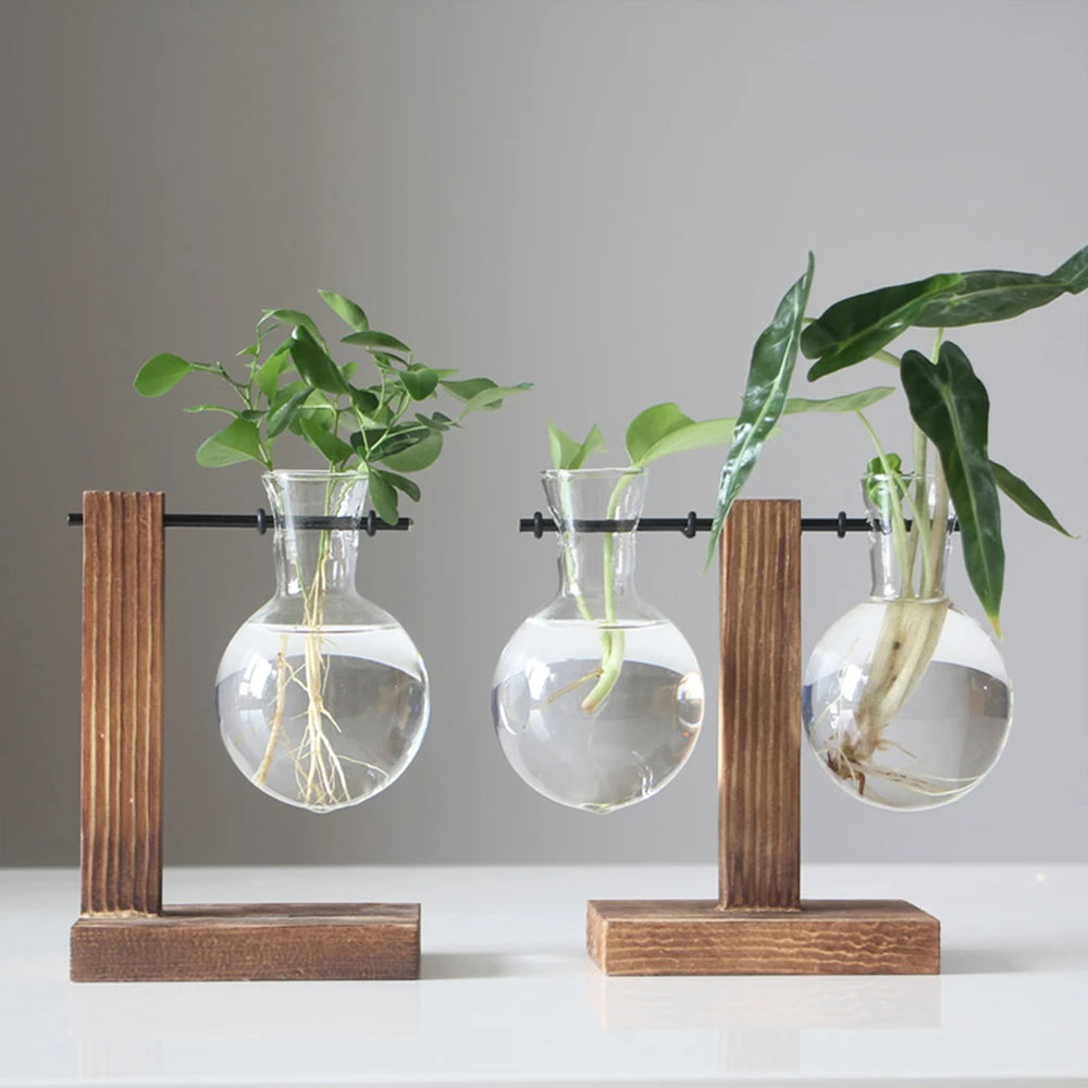 WoodenBloom - Creative Glass Desktop Planter with Wooden Stand – Hydroponic Bulb Vase for Home & Office Decor