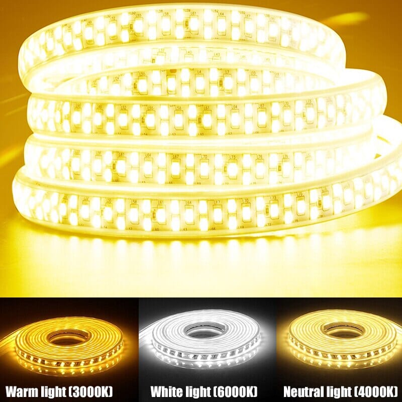 Cirque Ring Pendant Light in Rose Gold or Gold Finish