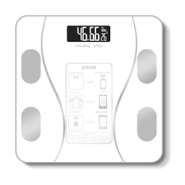 VitalGauge Smart Body Analysis Scale For Health Monitoring And Progress Tracking