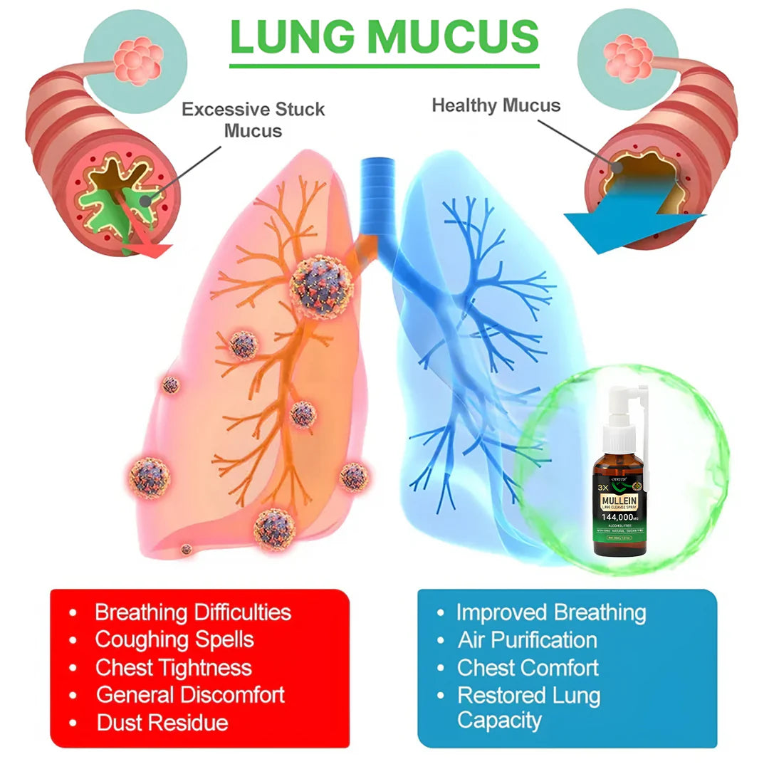 Aurelia Mullein Lung Support Spray For Clear Breathing