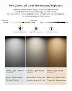 Lyra Wood Grain Minimalist LED Wall Light for Modern Interiors Eco Lighting