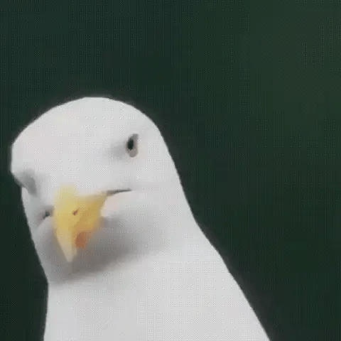 NorthArc 600x Ultra-Zoom Monocular With HD Lens For Hiking